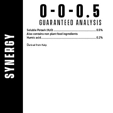 Bio-Genesis Synergy Usage Analysis
