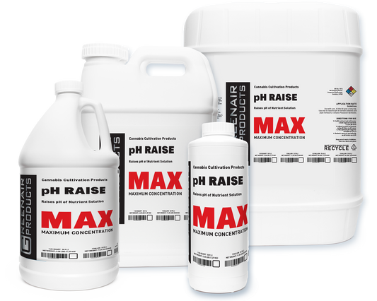 pH RAISE MAX (commercial strength)